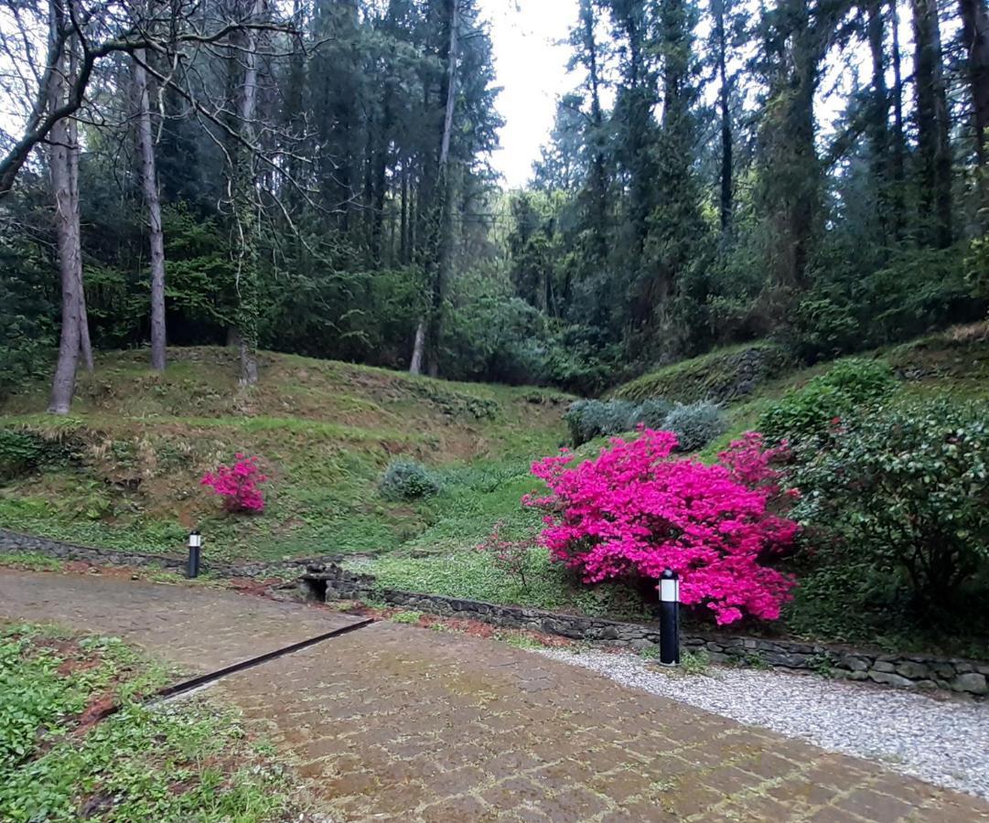 Il Bosco Di Campo Marzano Garden Apartments Borzonasca Exterior photo