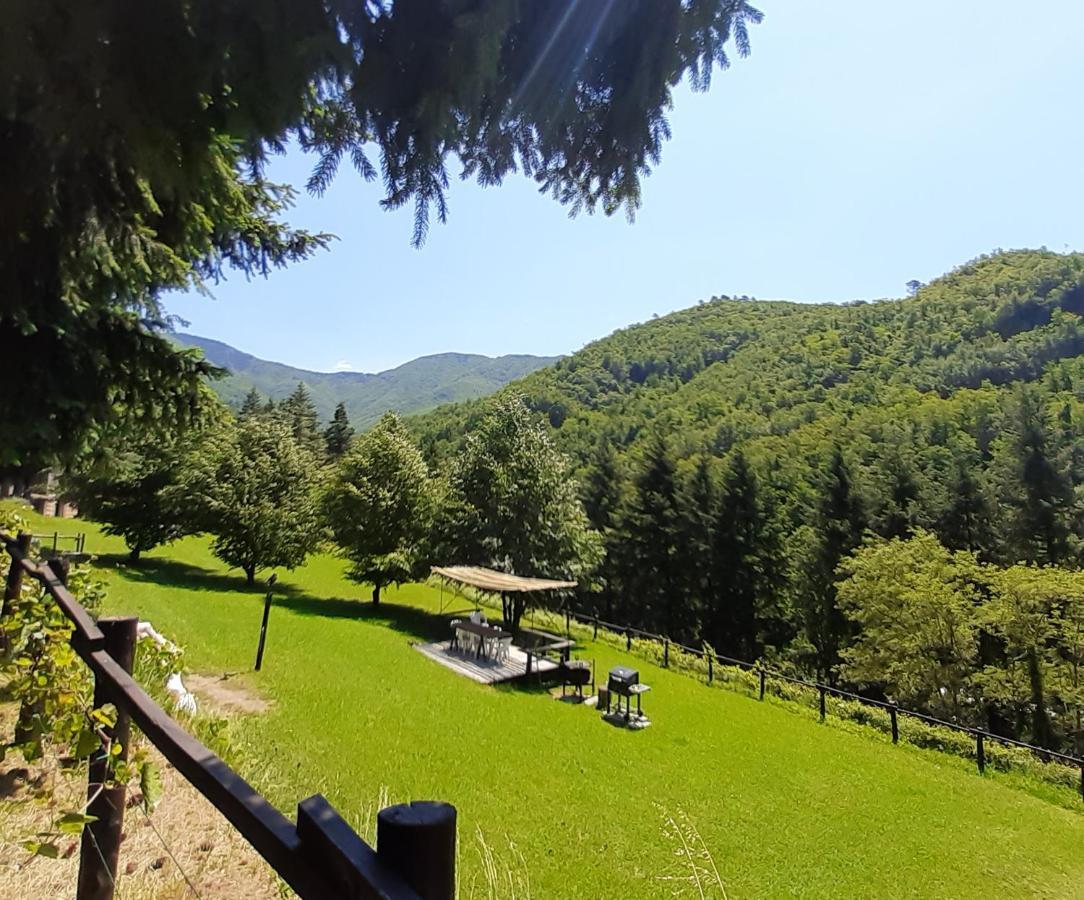 Il Bosco Di Campo Marzano Garden Apartments Borzonasca Exterior photo